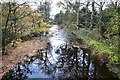 Walden Beck from Burton Bridge