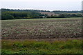 From the A4130 near Ambrose Farm