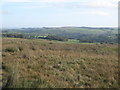 Moorland around Dewsgreen Burn