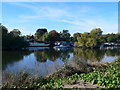 Houseboats on the Thames