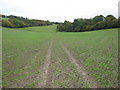 Footpath in Mill Hill Valley