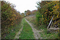 The way up the hill, Preston Hill Country Park