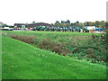 Tractors for sale, Newmarket