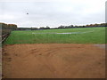 Private training gallops, Newmarket