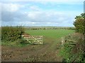 View NNE near Lynch Coppice