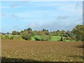 Ploughed field off Pudlicott Lane