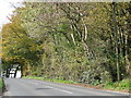 The A373 passes the tree-covered Hembury Fort