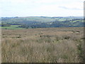 Moorland northwest of Parkhead Plantation