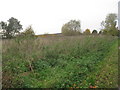 Waste ground on Mattersey Road, Everton