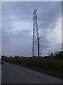 Pylon beside the road to Kingston Seymour