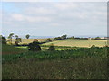 Fields north-west of Coombe Lane