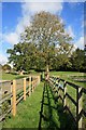 Footpath at Tumber Farm Stables