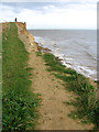 TM5282 : Clifftop path to Long Covert, Covehithe by Evelyn Simak