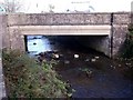 Bridge over the River Hamps