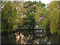 Pond, Walberton Green