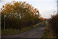 The footpath by Liptrot Farm