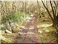 Footpath to the shore Portincaple