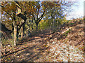 Path Between Sion Street And Hutchinson Way, Radcliffe