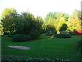 Trees in Lake Pleasure Gardens