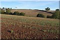 Fields at Dewsmoor