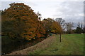 Autumn trees by the river Brue