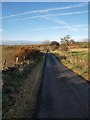 Road towards Harelaw Dam