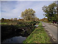 The River Banwell, south of Lower Gout Farm