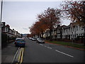 Caerphilly Rd, Cardiff, in autumn