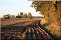 Doddington farmland