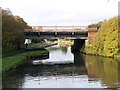 Temple bridge and the Forth & Clyde canal