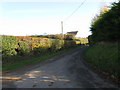 Country Lane near Bush Bank