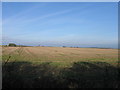 Fields near Westhope