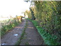 Track to The Cotts Farm