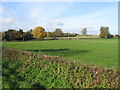 Fields north of Westhope