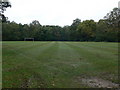 Football Pitch, East Sheen Common