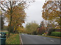 B4187, Worcester Lane between Hagley and Pedmore