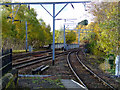 NS5860 : Tracks at Cathcart Station by Thomas Nugent
