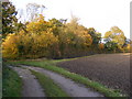 Footpath & entrance to Rookery Farm