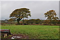 A view from Mouseberry Cross towards Chapel Farm