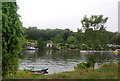 River Thames near Kingston