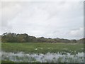 Flooding alongside the B4413 near Pont y Garreg-fechan