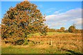 Stile on Footpath Across East Park