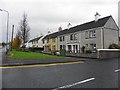 Breezemount Park, Castlederg