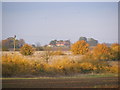 View of Grove Farm, Rendham