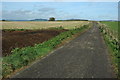 Driveway to Lodges Barn Farm