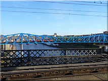 NZ2563 : Tyne Bridges by Christine Matthews