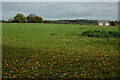 Farmland near Clearwell