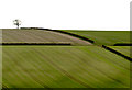 TA0566 : Wolds' Fields by Andy Beecroft