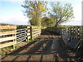 Bridleway from Newbiggin East