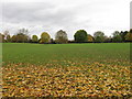 Recreation Ground, Eign Hill